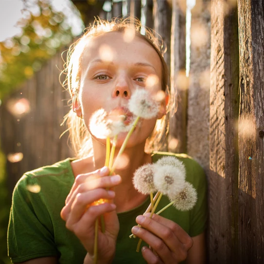 Frau pustet Pusteblume